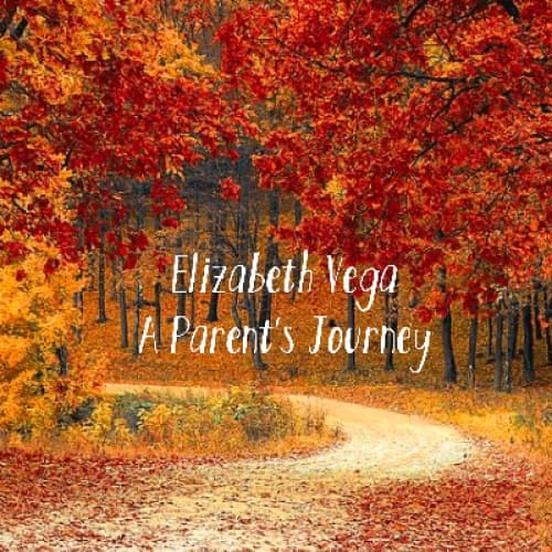 A Parents Journey
