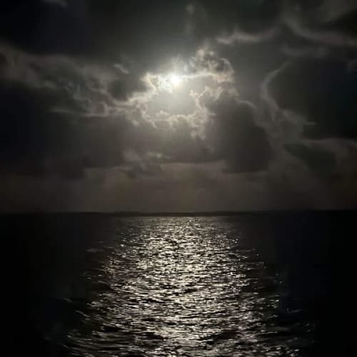 Two Poems (No Time & Pain I feel)