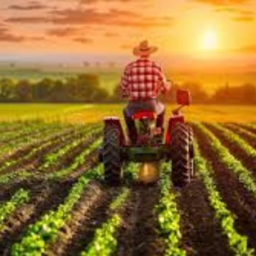 Today's problems of farmers in farming