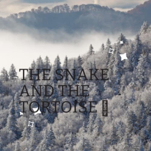 THE SNAKE AND THE TORTOISE