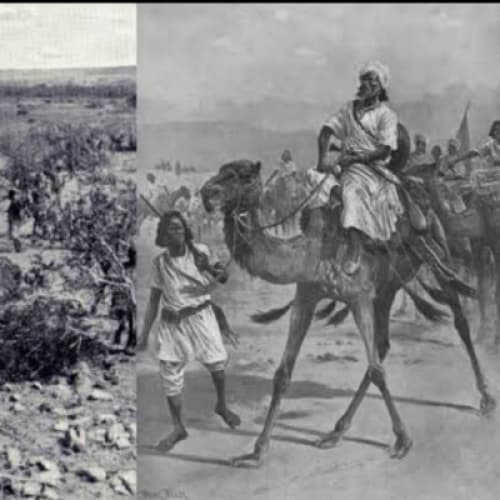 Near Desperation: A Desert Expedition’s Brush with Cannibalism and Survival.