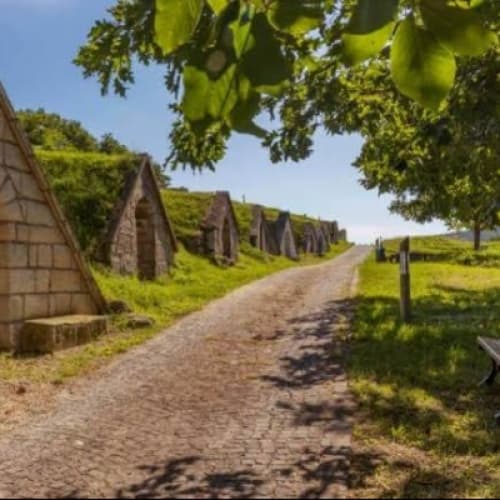 7 days in village