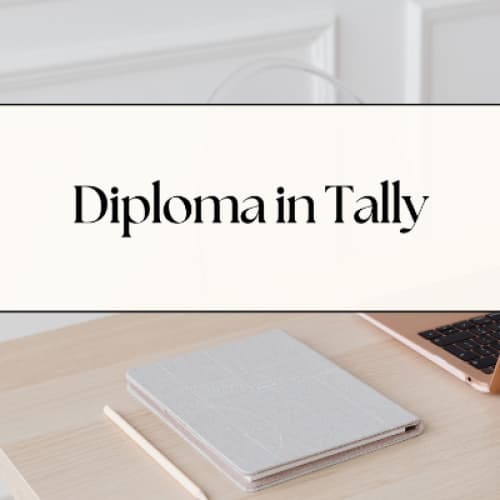NIILM University Offers Best Diploma in Tally and Accounting in Haryana