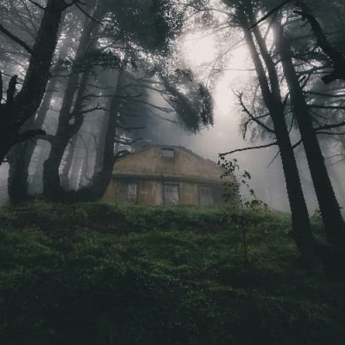 The Enigma at Hollow Manor