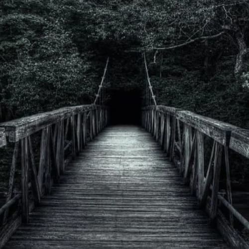 Cover for The Mystery In Darkness