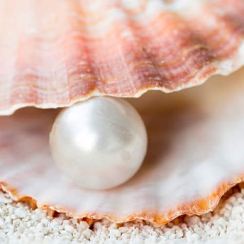 Pearl Village