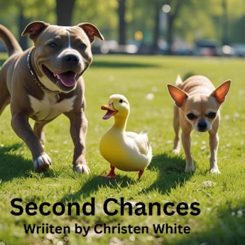 Second Chances