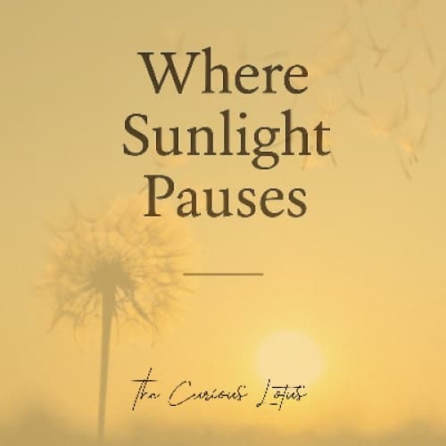 Where Sunlight Pauses