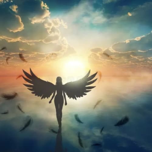 Wings of Freedom
