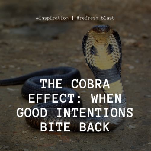 The Cobra Effect: When Good Intentions Bite Back