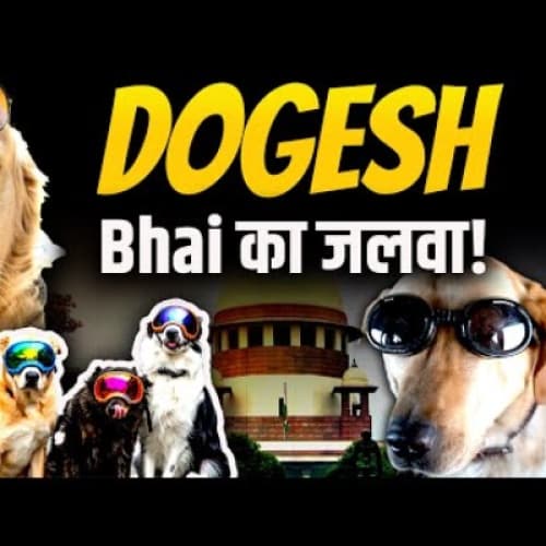 Dogesh Comedy