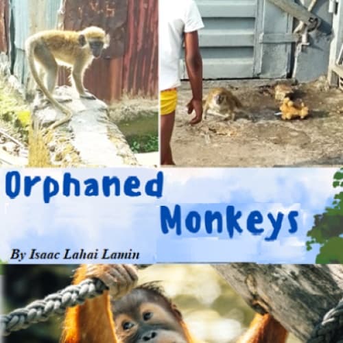 Orphaned Monkeys