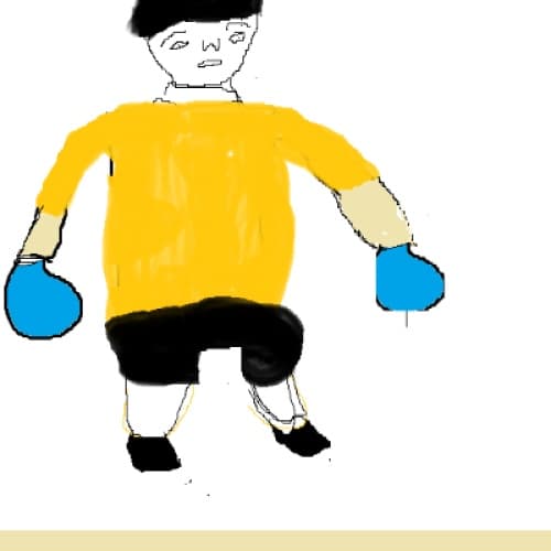 BOXER 3 (SELF- JUDGING)