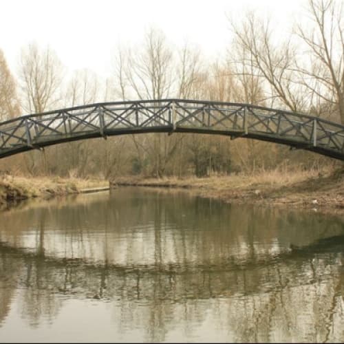 A Reoccurrence at Shit Creek Bridge