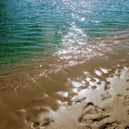 A SEA FULL OF PLASTIC