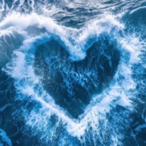A salted plea from the ocean's heart