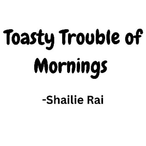 Cover for Toasty Trouble of Mornings