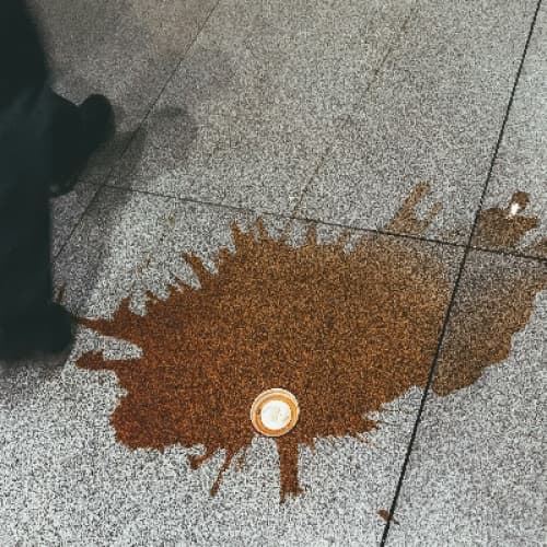"The Great Coffee Spill of '25"